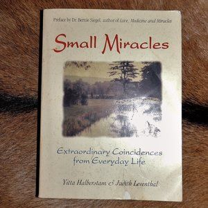 Small Miracles: Extraordinary Coincidences from Everyday Life